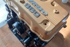 F6A-Gold-Head-001-scaled